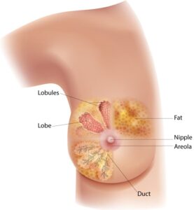 Women's Cancer Treatment in Pune