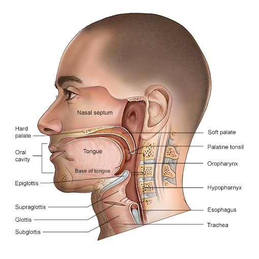 head and Neck Cancer Treatment in Pune